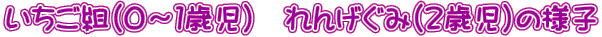 giO`PΎj@񂰂݁iQΎj̗lq